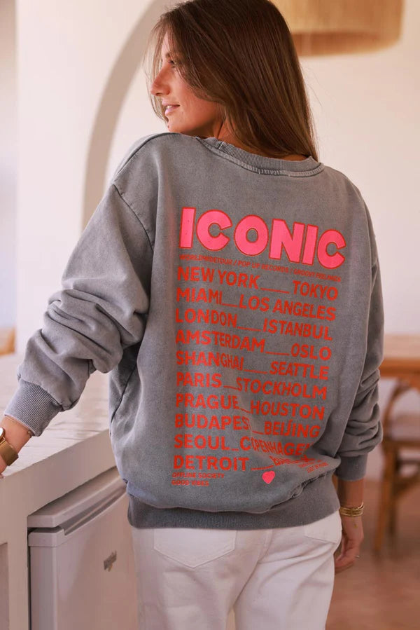 Gray Iconic Jersey Sweater